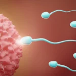 GET THE DIM CAPSULE TODAY